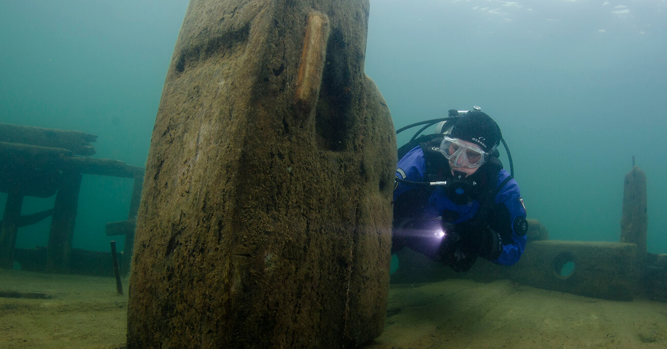 Bermuda Shipwreck with Diver [Photo by Chris Doyal}