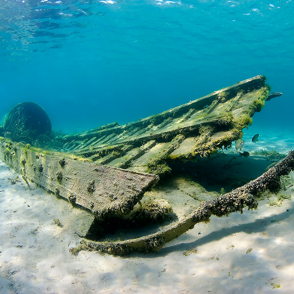 Flora Shipwreck