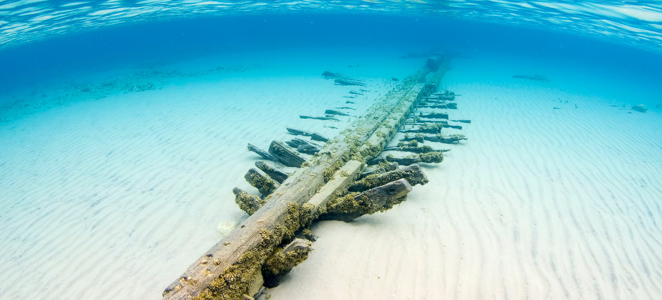 Selvick Shipwreck by Chris Doyal