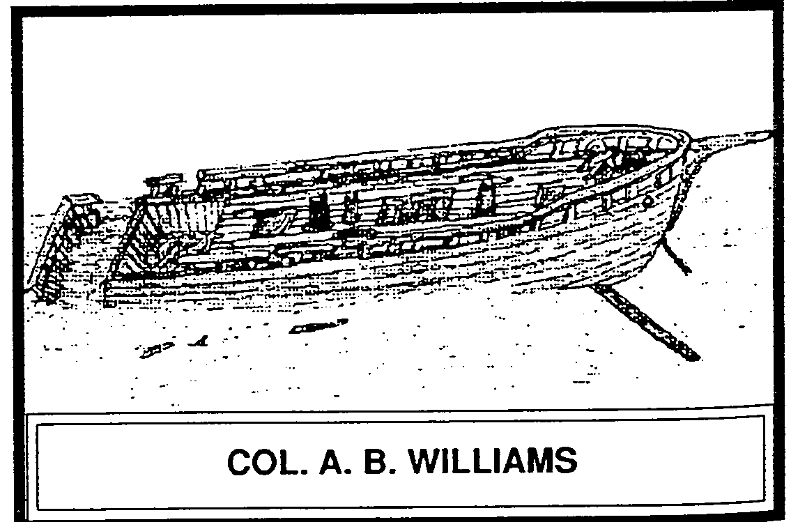 Col AB Williams drawing- Shipwrecks of Sanilac-Jim & PatStayer